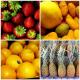 10 Delicious Spring Fruit’s For Your Kids Party